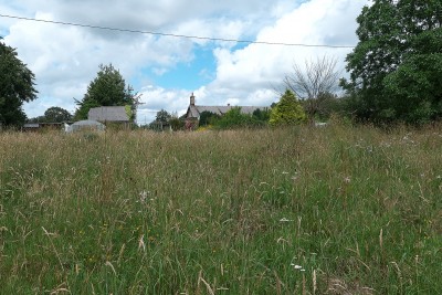 Meadow  area - approx 1/4 acre.