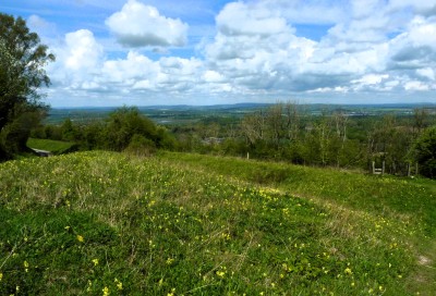 View from top of  Kithurst Hill.