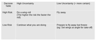 risk-uncertainty decision table.jpg