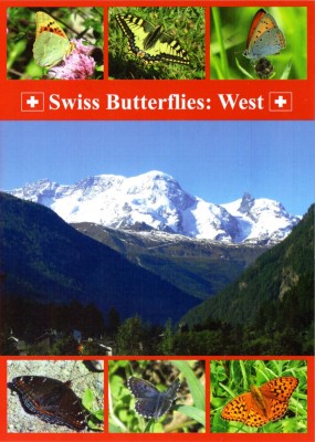 DVD Swiss Butterflies West