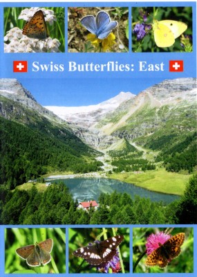 DVD Swiss Butterflies East