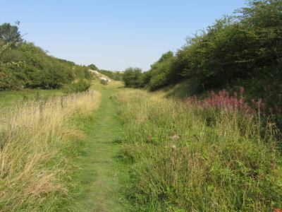 Kiplingcotes, Path into Reserve, 25.08.19