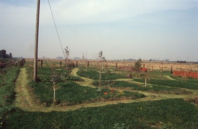 very early shot of  woodland garden with original saplings - May 1998.jpg
