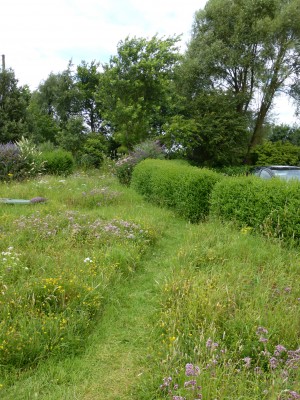 meadow path leading into woodland garden.JPG