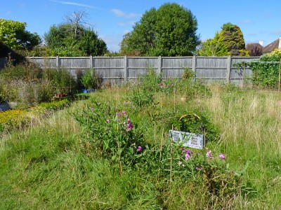 UKB private garden near Bognor.jpg