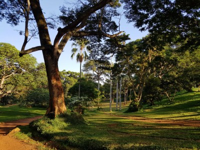 Botanical Gardens, Entebbe, Uganda, 23rd December 2017